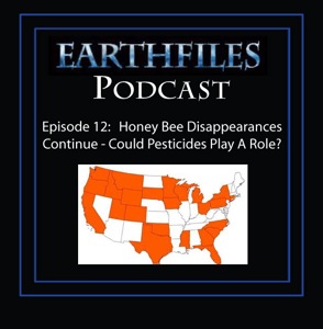 Episode 12 - Honey Bee Disappearances Continue: Could Pesticides Play A Role?