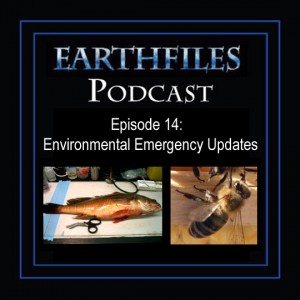 Episode 14: Environmental Emergency Updates