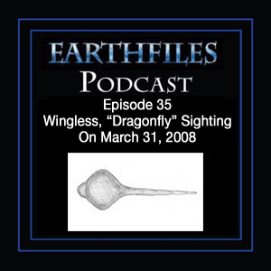 Episode 35 - Wingless, “Dragonfly” Sighting On March 31, 2008