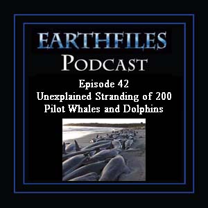 Episode 42 - Unexplained Stranding of 200 Pilot Whales and Dolphins