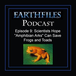 Episode 9 - Scientists Hope "Amphibian Arks" Can Save Frogs and Toads
